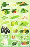 สติกเกอร์ผัก ผลไม้ น่ารัก สำหรับเด็ก พัฒนากล้ามเนื้อ และพื่นผิวที่ต้องการ Vegetable Fruit colorful Sticker Film 1 Sheet 270 mm x 180 mm Weatherproof ST106