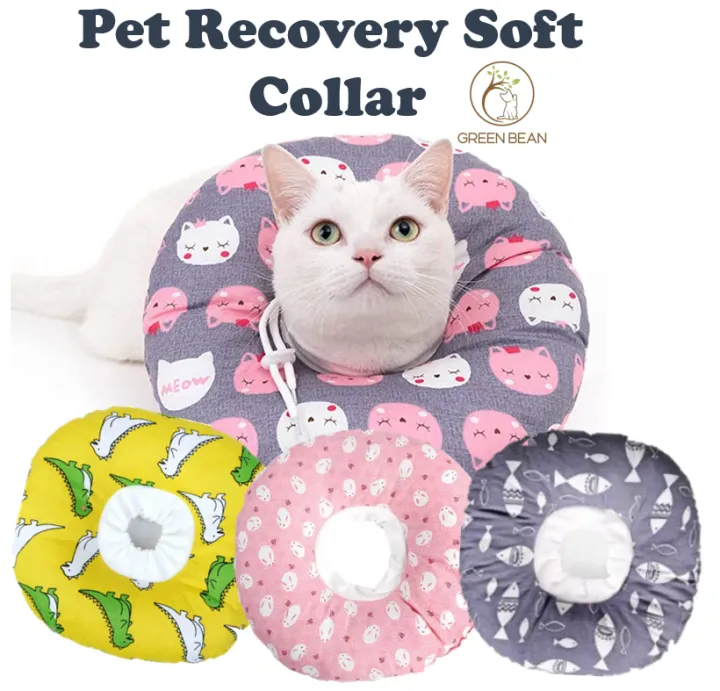 soft collars for cats