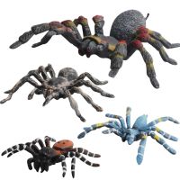 【CC】 Insect Gray Poisonous Big Tricky Static Decoration Figurine D  39;action