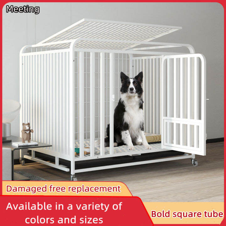 [MEETING] Bold Reinforced Dog Cage with Toilet Waterproof and Rust