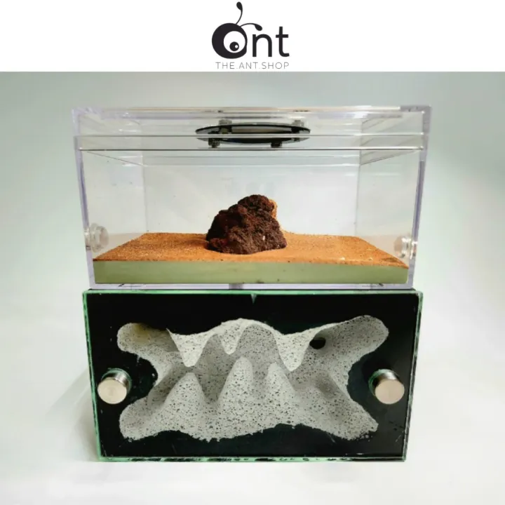 Handcrafted The Jumbo Crystal Cave Formicarium - Ant Farm Ant Cages Ant ...