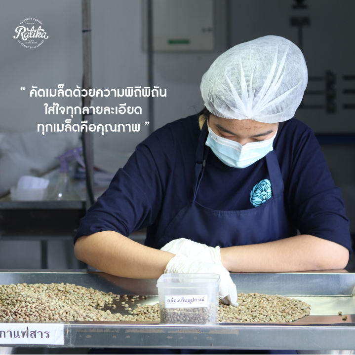 ratika-green-bean-wet-21-22-arabica-pua-aa-1-kg-เมล็ดกาแฟสาร-ปัว-aa