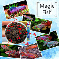 Fish Tank For Hatching Killifish Eggs Brine Shrimp Artemia USB Lamp Grow Magic Soil Water Live Tank Caviar Earth Toys Gift