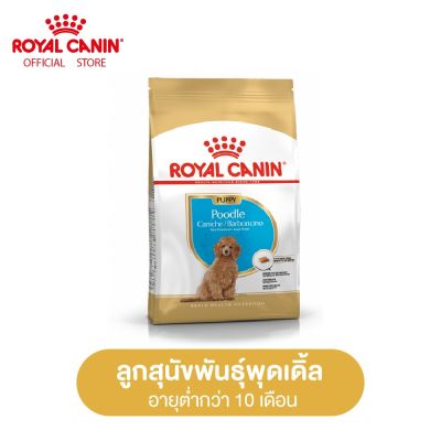 Royal Canin Poodle Puppy โรยัล คานิน อาหารเม็ดลูกสุนัข พันธุ์พุดเดิ้ล อายุต่ำกว่า 10 เดือน (กดเลือกขนาดได้, Dry Dog Food)