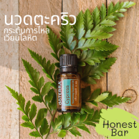 doTERRA Cypress โดเทอร์ร่า ไซเปรสส์ น้ำมันหอมระเหยจากอเมริกา เหมาะกับการนวดสปา บรรเทาปวดตะคริว บวมน้ำ กระตุ้นการไหลเวียนโลหิต