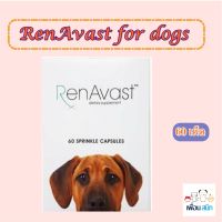 Renavast for dog อาหารเสริมบำรุงไต สำหรับสุนัข อายุ 1 ปีขึ้นไป น้ำหนักเกิน 9 กก. จำนวน 60 capsule เลขทะเบียน 0208580013