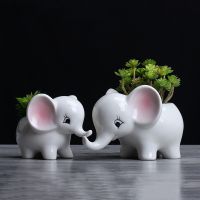 【cw】 Outdoor Gardening Ideas Succulent Pot Elephant Desktop Decoration Ornament