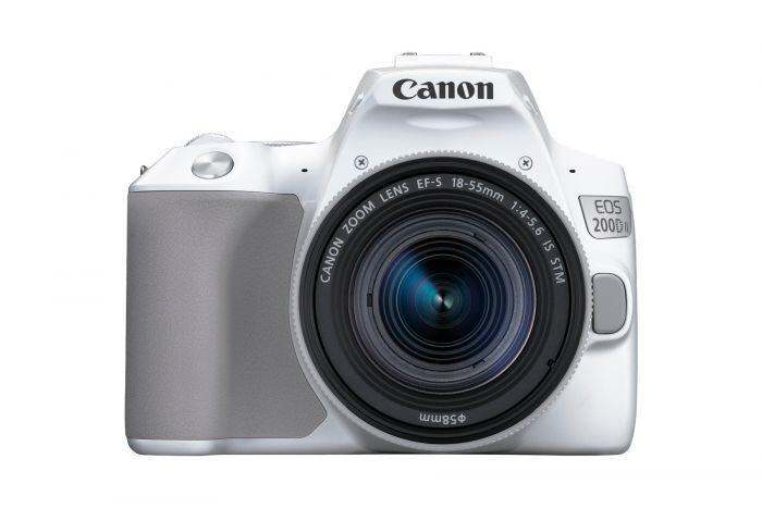 canon 1500d megapixel