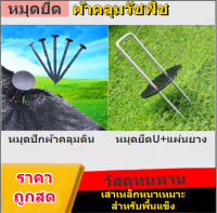 หมุดยึดผ้าคลุมวัชพืช หมุดยึดU+แผ่นยางพลาสติกยึดหมุด ผ้าคลุมดิน เหล็กเสียบ เหล็กปักดิน หมุดปักดิน สมอปักดิน