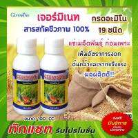 ส่งด่วน ปุ๋ยกิฟฟารีน เจอร์มิเนท Germinate amino acid กรดอะมิโน19ชนิด ใช้แช่เม็ด ชุปท่อนพันธ์ก่อนปลูกเพิ่มการแตกรากและยืนต้นได้เร็ว ทนแล้ง