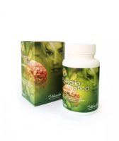 กวาวเครือขาว ชนิดแค็ปซูล(เกรดส่งออก) Stherb Breast Capsules บรรจุ 60 เม็ด