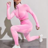 Women Tracksuit Outfits Yoga Set Fitness High Waist Leggings Gym Zipper Running Fitness Sport Gym Set Long Sleeve Yoga Clothing