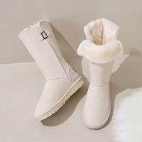 New Womens Warm Long Plush Snow Boots Winter Hook Loop Suede Ankle Boots Woman Plus Size Non-Slip Platform Cotton Shoes Ladies