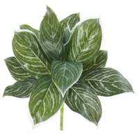 21 "Silver Aglaonema พืชประดิษฐ์ (สัมผัสจริง) (ชุด6) สีเขียว