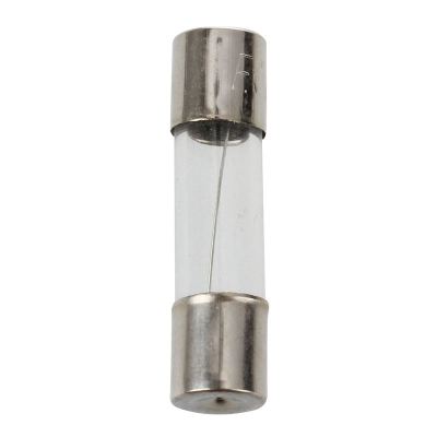 30 Pcs Electrical Components Glass Tube Fuse 250V 5A