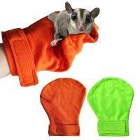 【CW】Sugar Glider Bonding Mitt Small Animal Handling Rat Accessories Hedgehog Supplies Sleeping Pad 20x25cm7.87";x9.84";