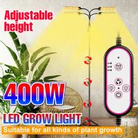 LED Full Spectrum Grow Light Hydroponics Bulb 12V LED Plant Growing Lamp Fitolampy 360° Adjustable Phyto Lamp Home LED 300W 400W