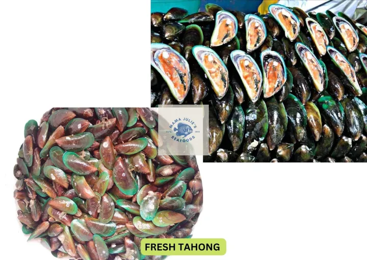 Fresh Tahong 1kg Lazada PH
