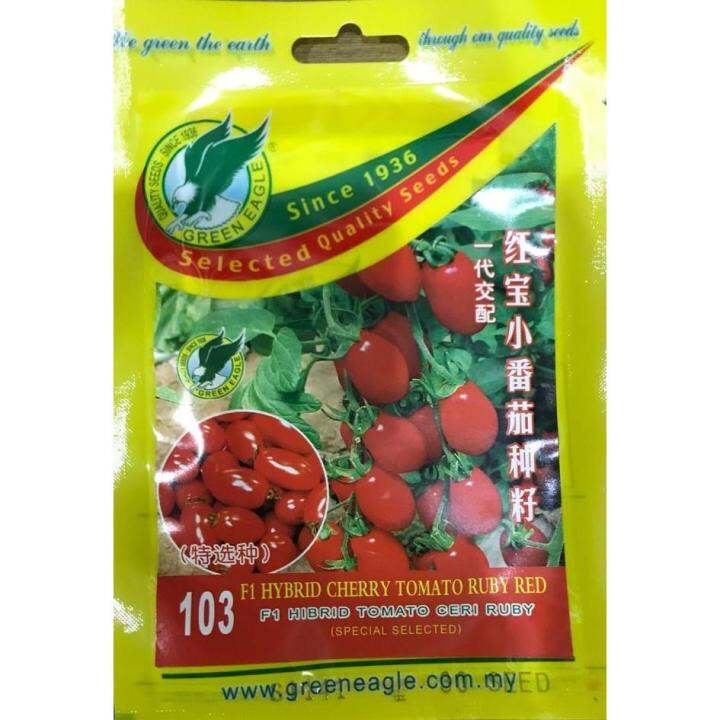 103 F1 HYBRID RUBY RED CHERRY TOMATO Lazada