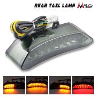 Motorcycle rear taillight assembly Tail light for 2002-2003 Yamaha YZF R1/ATV Raptor 700