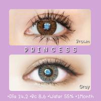 ?Princess-Brown•Gray☆สายตา00-1000☆รายเดือน