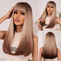 Long Straight Synthetic Wigs Blonde to Brown Ombre Natural Hair Wig for Women Afro Cosplay Lolita Wig Heat Resistant Fake Hair