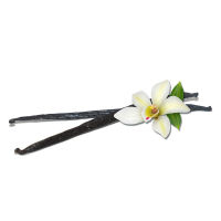 Natural Efe | Vanilla - ฝักวนิลา 2Pcs.