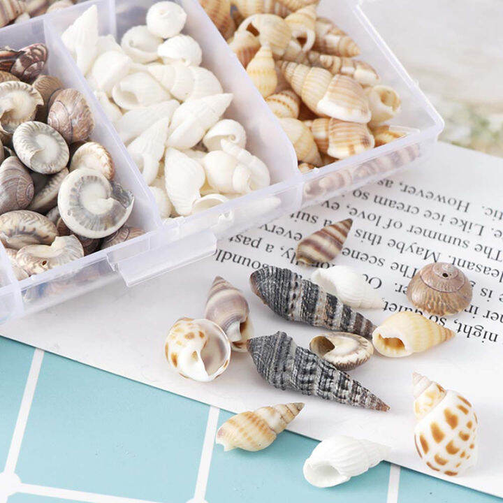 ck-about-100pcs-box-natural-conch-shells-aquarium-landscape-seashells-crafts-decor