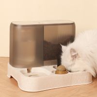 Large Capacity Cat Automatic Feeder Water Dispenser Wet and Dry Separation Dog Food Container Drinking Water Bowl Pet Supplies