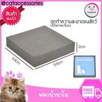 Cataccessories ฟองน้ำเก็บขนแมว ฟองน้ำนาโน กำจัดขนแมว ทำความสะอาดโซฟาที่มีขนสัตว์ติด เก็บขนสัตว์เลี้ยงได้ดี ล้างน้ำได้