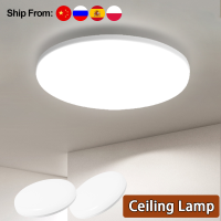 Led Ceiling Lamp 220V Ceil Lights 20W 30W 40W LED Panel Light Kitchen Bedroom Ultra Thin Ceiling Lighting Fixture Home Kitchen