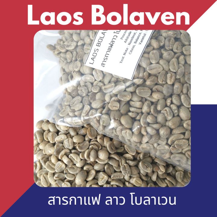 ถูกที่สุด-สารกาแฟดิบ-ลาว-โบลาเวน-ไซส์-16-18-laos-bolaven-greenbean-washed-process-size-16-18