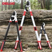 【LZ】 DELIXI Long Pruner Garden Branch Scissors SK5 Steel Garden Tools Professional Hand Tools  Gardening Fruit Tree Pruning Shears