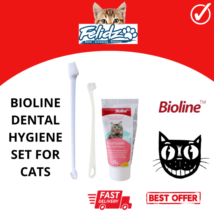 BIOLINE DENTAL HYGIENE SET FOR CATS | Lazada