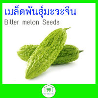 เมล็ดพันธุ์มะระจีน (Bitter Melon)