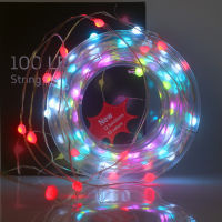 USB RGB LED Pixels String Christmas Lights 10m 5m RF 21keys Remote WS2812B SK6812 IC Addressable Individually Holiday Light 5V