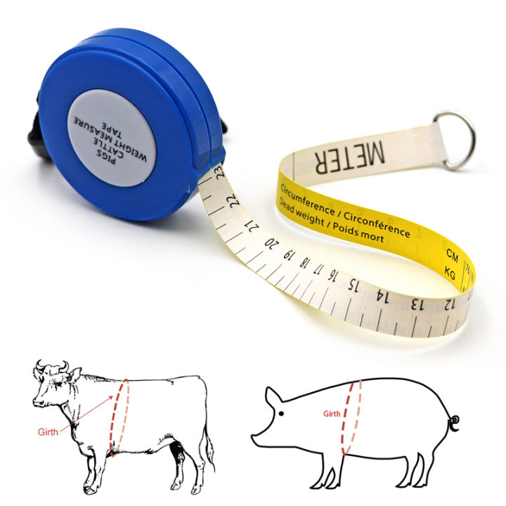 สายวัดน้ำหนักวัว-สายวัดน้ำหนักสำหรับปศุสัตว์แบบมืออาชีพ-สีน้ำเงิน-วัดน้ำหนักวัว-วัดน้ำหนักหมู