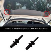 2x FOR CITROEN SAXO C2 C3 XSARA Picasso DS3 XM Rear Boot Trunk Parcel Shelf Cord Strap String Clips Mounting Hook Bracket 699218