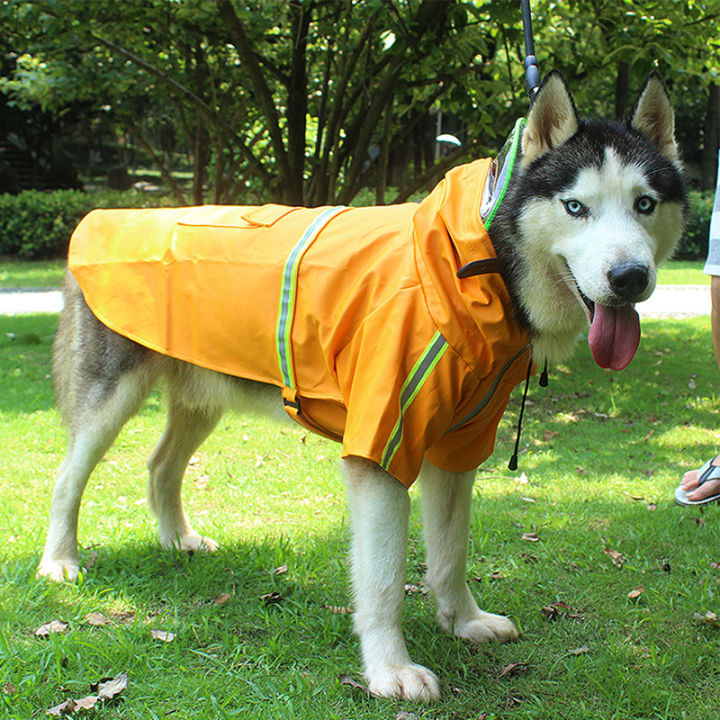zoopeen-pet-big-dog-new-solid-color-transparent-hat-raincoat-outdoor-night-reflective-decoration-medium-large-dog-pet-clothes