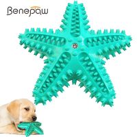 Durable Dog Chew Toys For Aggressive Chewers Rubber Squeaky Pet Toys Toothbrush For Small Medium Big Dogs Puppy Teething