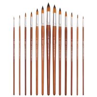 Dainayw Round Pointed Tip Brushes 13 Pcs Synthetic Nylon Art Paint Brush Set for Acrylic Watercolor Oil Painting Long Handle