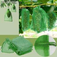 卍 20/50/100PCS Grapes Fruit Protection Bags Garden Mesh Bags Agricultural Orchard Pest Control Anti-Bird Netting Vegetable Bags