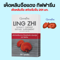 เห็ดหลินจือสกัด กิฟฟารีน ชนิดแคปซูล LING ZHI MUSHROOM GIFFARINE สมุนไพร เห็ดหลินจือแดง