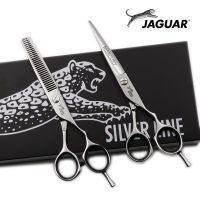 5"5.5"6"6.5" hair scissors Professional Hairdressing scissors set Cutting+Thinning Barber shears High quality
