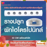 รางปลูกผักไฮโดรโปนิกส์แบบน้ำนิ่ง ยาว 43 ซม. 6 ช่องปลูก by hydroponicgroup