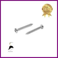 สกรูเกลียวปล่อย TP DEXZON 10X1-1/2 นิ้ว 25 ตัวSELF-TAPPING SCREW TP DEXZON 10X1-1/2IN 25PCS **ด่วน สินค้าเหลือไม่เยอะ**