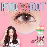 podkadot รุ่นสีเทาตาโตฉ่ำ ลายตามหา