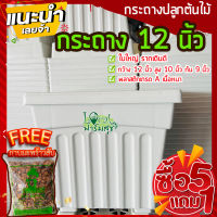 5แถม1ฟรี?กาบมะพร้าวสับ กระถางต้นไม้ 12” กระถางขาว กระถางปลูกต้นไม้ กระถางกุหลาบ กระถางปลูกบอน กระถางใหญ่ เนื้อดี