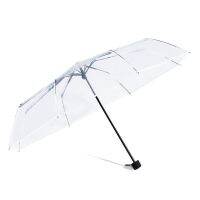 Korean transparent umbrella female folding fully automatic opening and closing umbrella Mori Department 30 student sunny umbrella male small fresh and thick