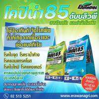 คอปเปอร์ ออกซีคลอไรค์  โคปิน่า 85 wp (ฟ้า) 1kg. ป้องกันกำจัดโรคพืชทั้งที่เกิดจากเชื้อราและเชื้อแบคทีเรีย ราน้ำค้าง แครงเกอร์มะนาว